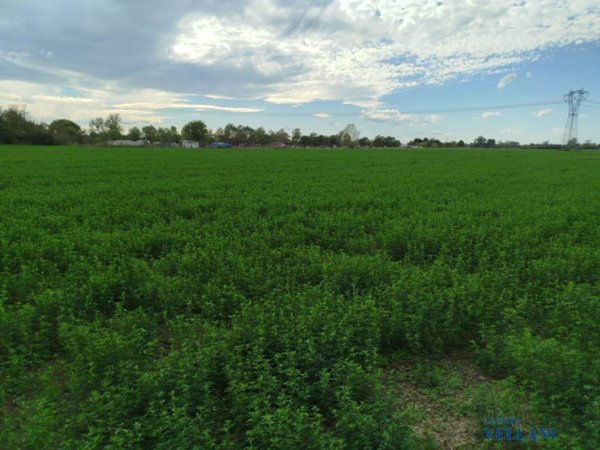 appartamento in vendita a Carpi