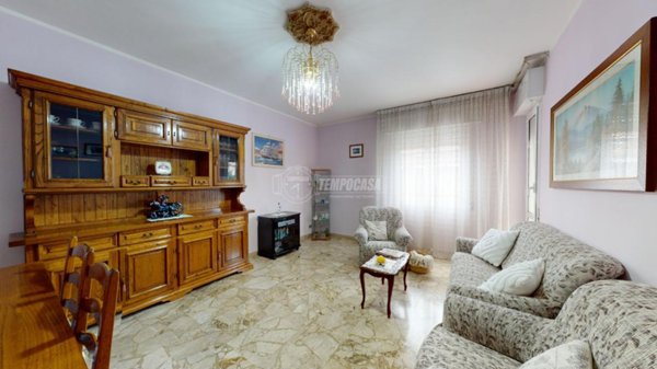 immagine annuncio 0 di 15
