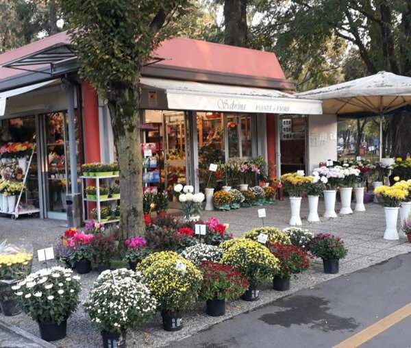 negozio in vendita a Carpi