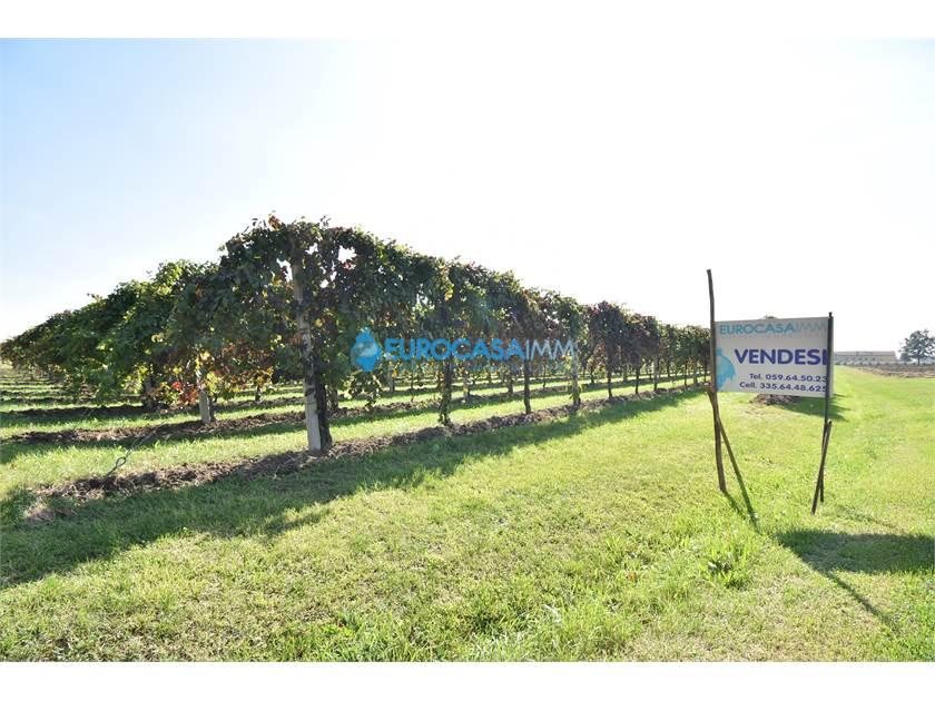terreno agricolo in vendita a Carpi in zona Gargallo