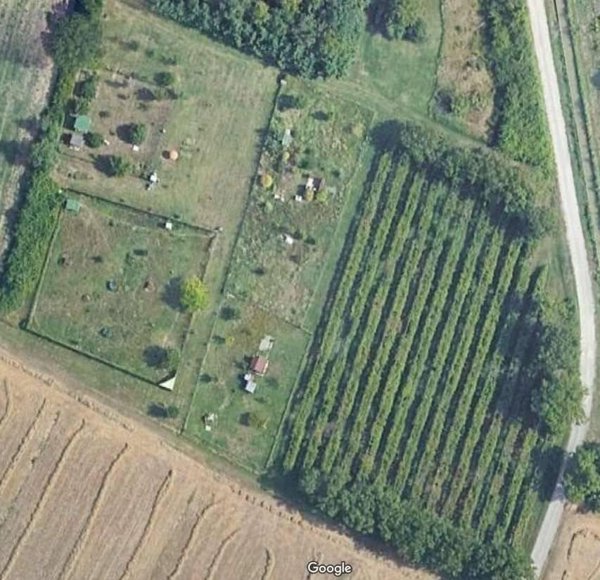 terreno agricolo in vendita a Carpi in zona Quartirolo