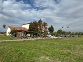 casa indipendente in vendita a Carpi in zona Cibeno Pile