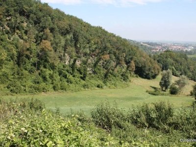 terreno agricolo in vendita a Carpi