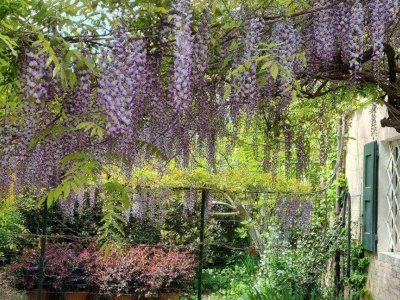 casa indipendente in vendita a Carpi in zona Budrione