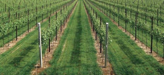 terreno agricolo in vendita a Carpi