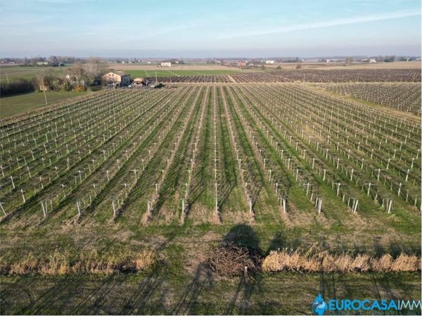 terreno agricolo in vendita a Carpi in zona Fossoli