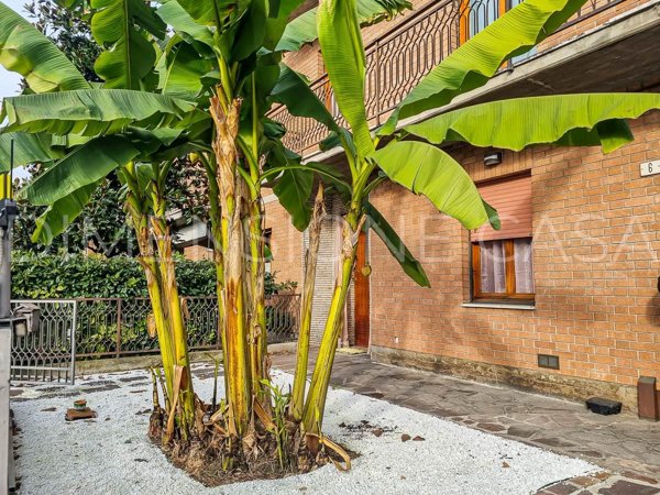 casa indipendente in vendita a Carpi