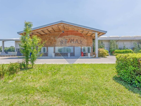 immagine annuncio 0 di 15