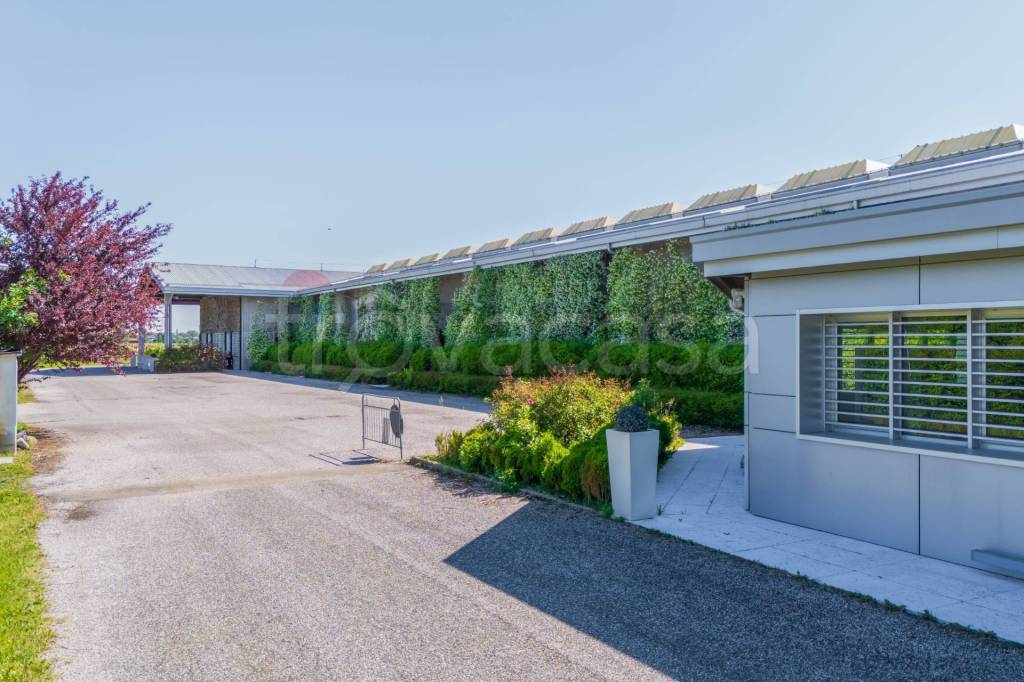 negozio in vendita a Carpi in zona Santa Croce