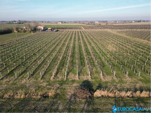 terreno agricolo in vendita a Carpi in zona San Marino