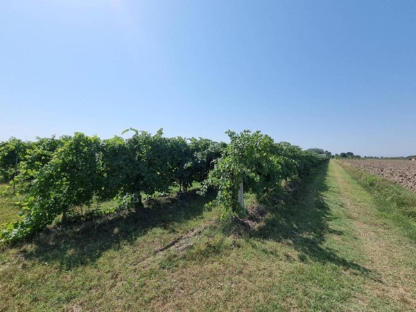 terreno agricolo in vendita a Carpi in zona Fossoli