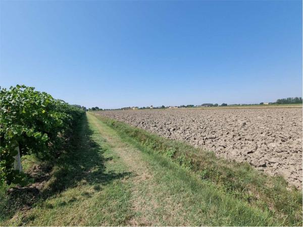terreno agricolo in vendita a Carpi in zona Cibeno Pile