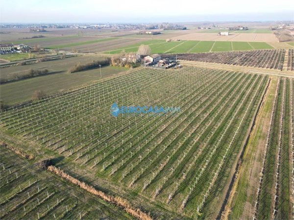 terreno agricolo in vendita a Carpi in zona San Marino