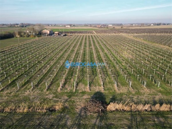 terreno agricolo in vendita a Carpi in zona Fossoli