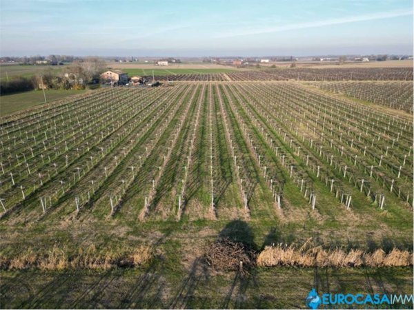 terreno agricolo in vendita a Carpi in zona Budrione