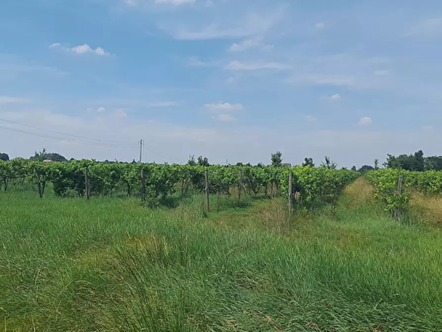 terreno agricolo in vendita a Carpi