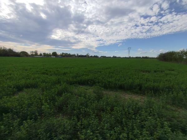 terreno agricolo in vendita a Carpi in zona Cibeno Pile