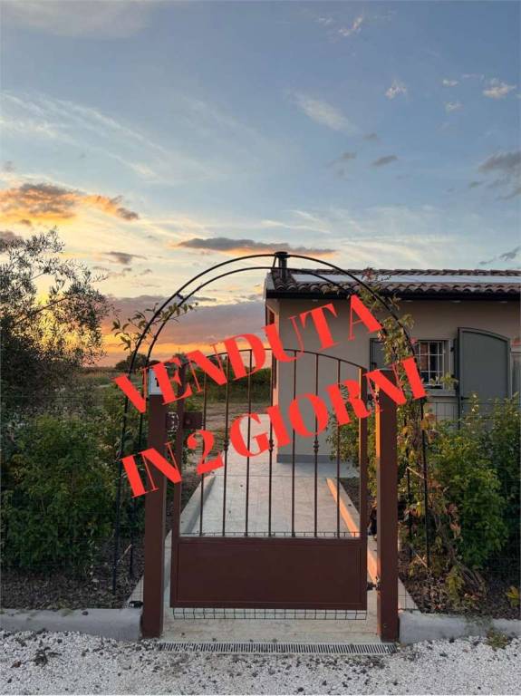casa indipendente in vendita a Carpi in zona Cortile