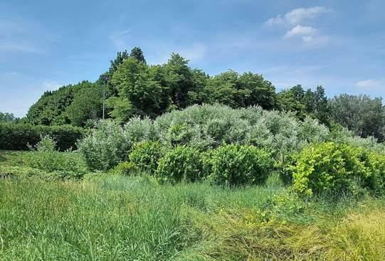appartamento in vendita a Carpi in zona Quartirolo