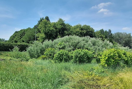 terreno agricolo in vendita a Carpi