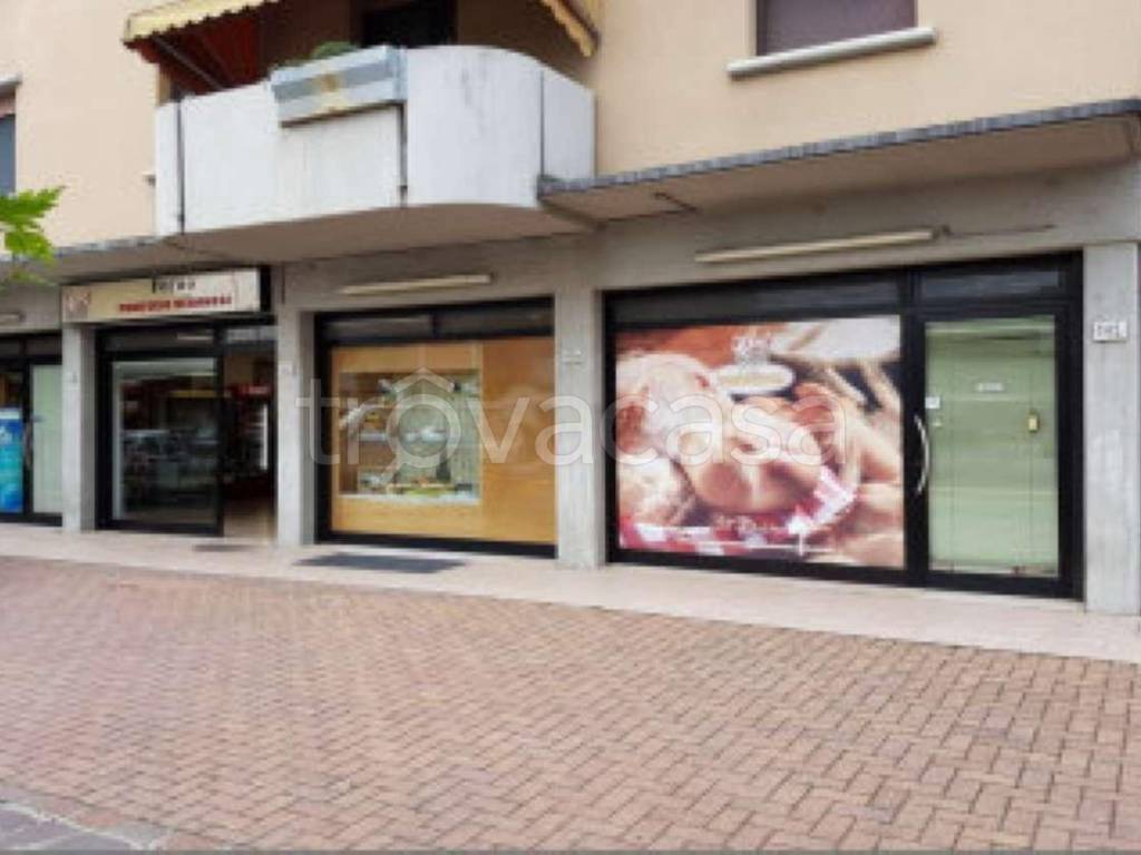 casa semindipendente in vendita a Carpi