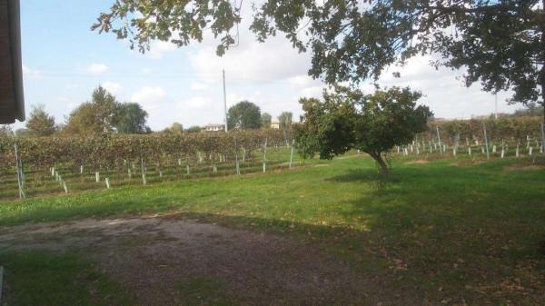 casa indipendente in vendita a Carpi in zona Quartirolo