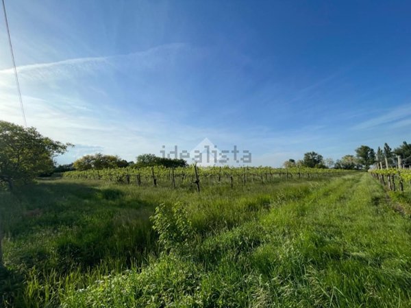 terreno edificabile in vendita a Carpi