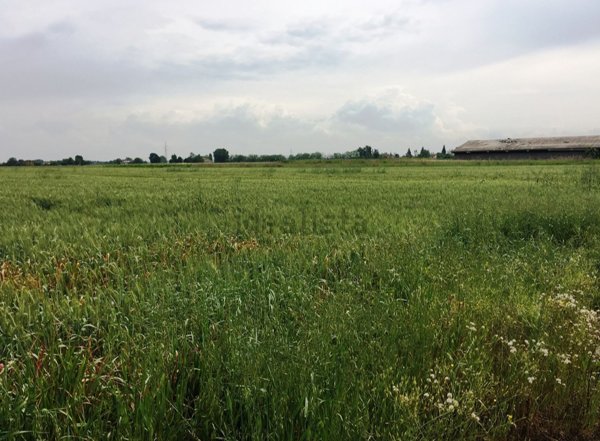 terreno agricolo in vendita a Carpi