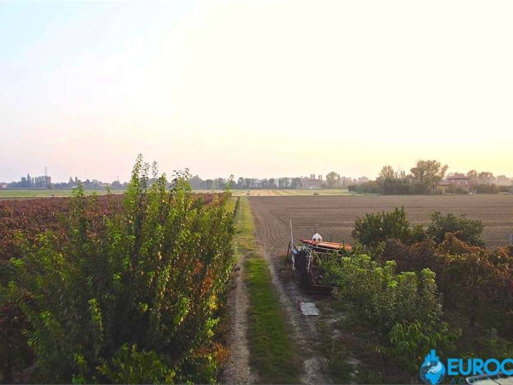 terreno agricolo in vendita a Carpi