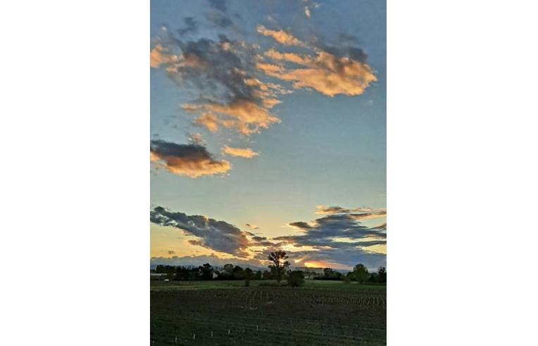 appartamento in vendita a Carpi