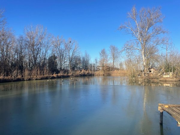 terreno agricolo in vendita a Carpi
