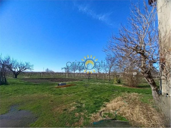 terreno agricolo in vendita a Carpi in zona Santa Croce