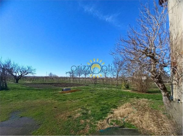 terreno agricolo in vendita a Carpi in zona Santa Croce