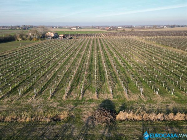 terreno agricolo in vendita a Carpi