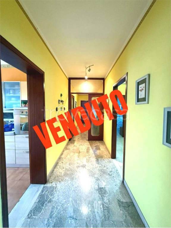 appartamento in vendita a Carpi