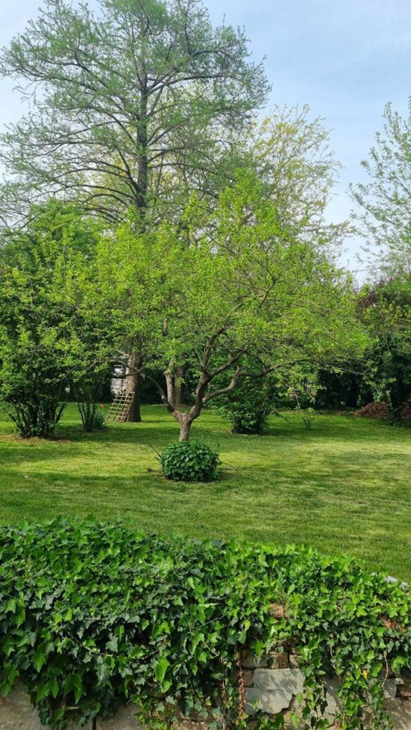 casa indipendente in vendita a Carpi in zona Budrione
