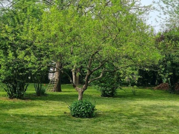 casa indipendente in vendita a Carpi in zona Budrione