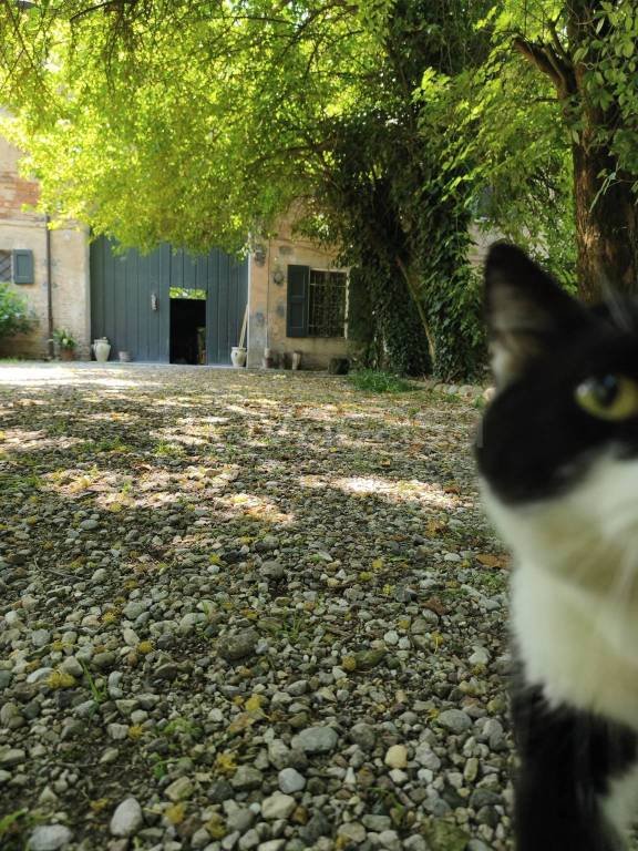 casa indipendente in vendita a Carpi in zona Budrione