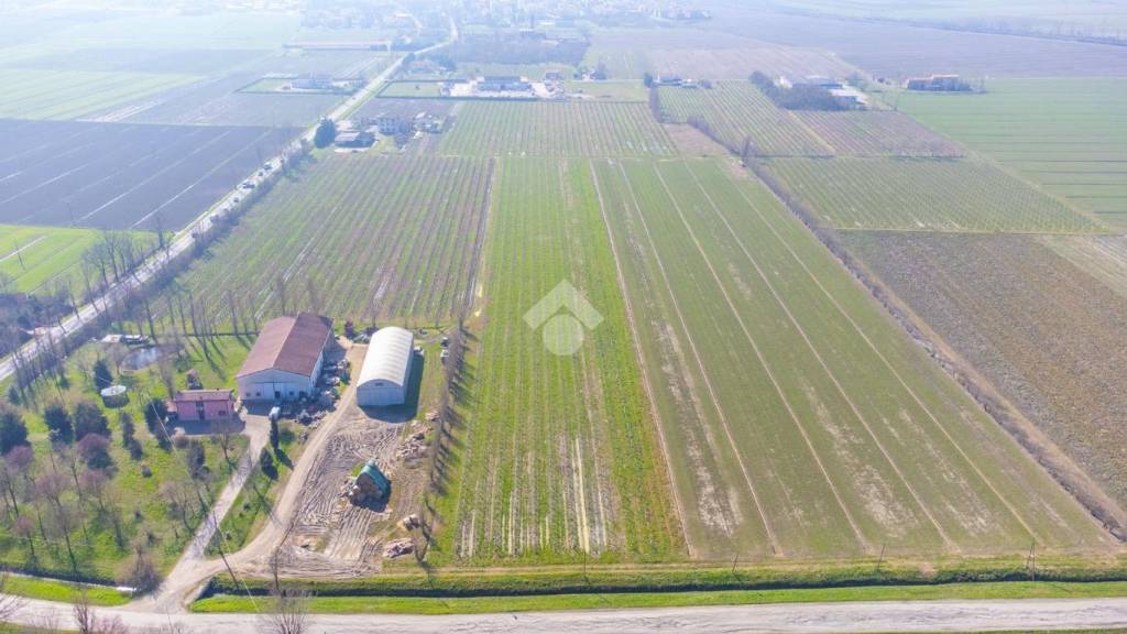 terreno agricolo in vendita a Carpi in zona Budrione