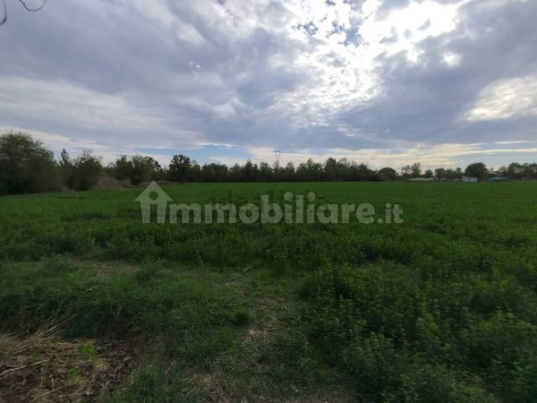 terreno agricolo in vendita a Carpi in zona Cibeno Pile