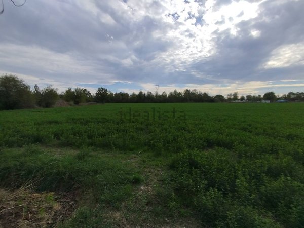 terreno agricolo in vendita a Carpi in zona Cibeno Pile