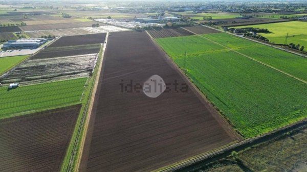 terreno agricolo in vendita a Carpi