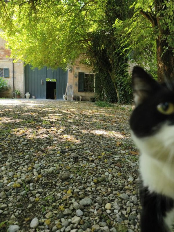 casa indipendente in vendita a Carpi in zona Budrione