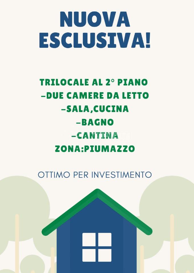 appartamento in vendita a Castelfranco Emilia