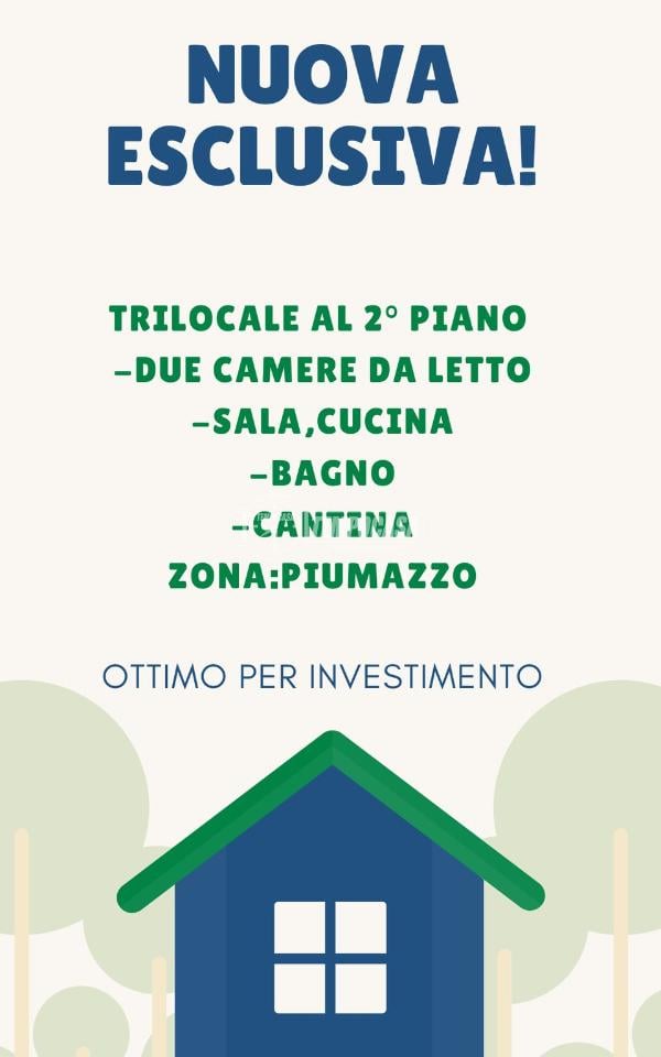 appartamento in vendita a Castelfranco Emilia