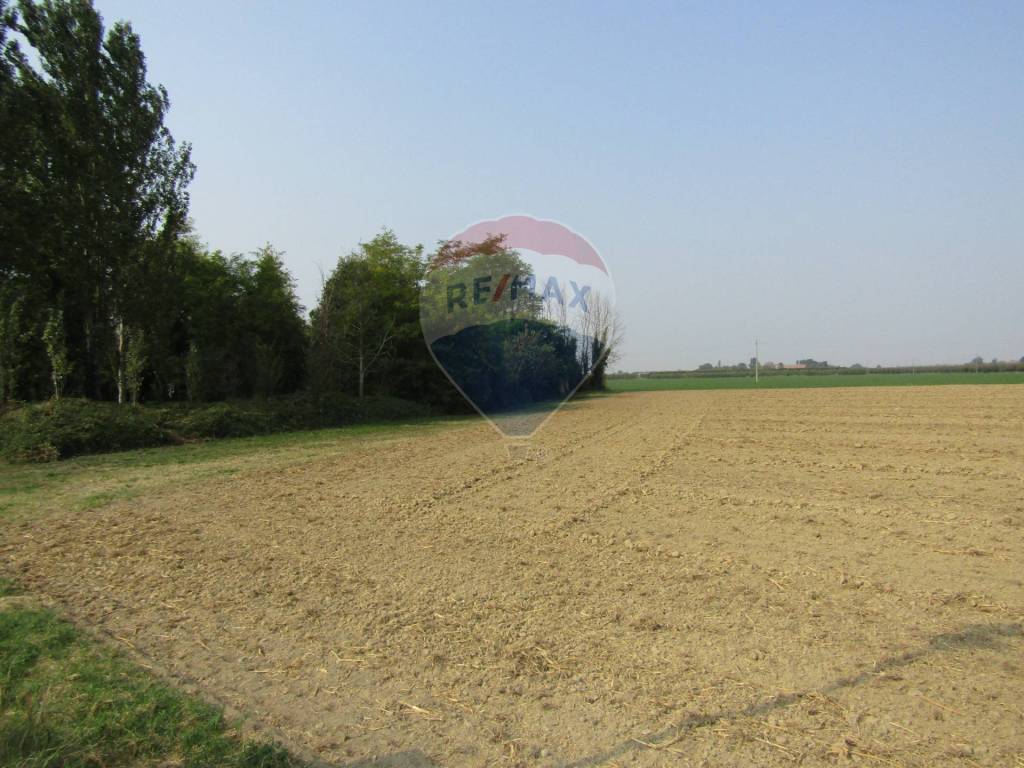 terreno agricolo a Castelfranco Emilia in zona Madonna della Provvidenza