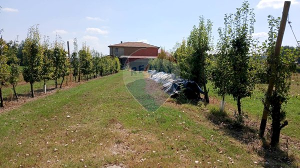 casa indipendente in vendita a Castelfranco Emilia