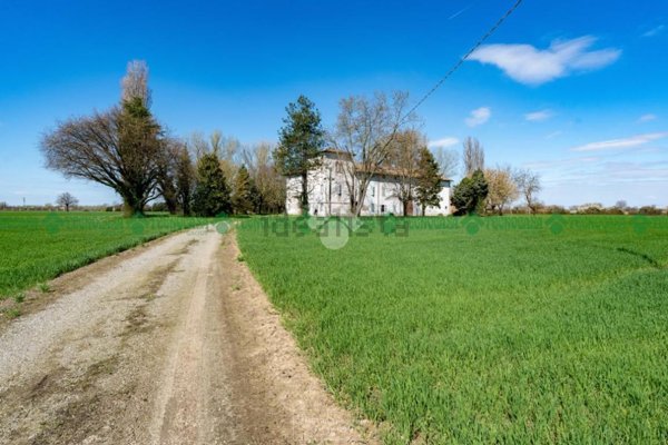 esavano in vendita a Castelfranco Emilia in zona Gaggio