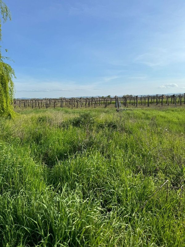 terreno agricolo in vendita a Castelfranco Emilia in zona Manzolino
