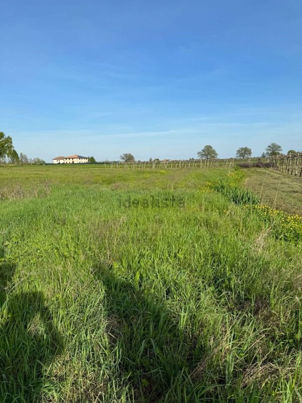 terreno agricolo in vendita a Castelfranco Emilia in zona Manzolino